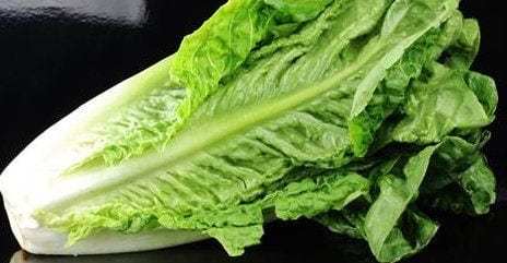 CDC: It’s Safe To Eat Romaine Lettuce
