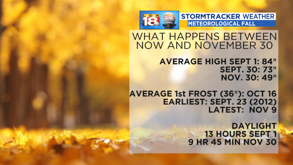 Fall Stats