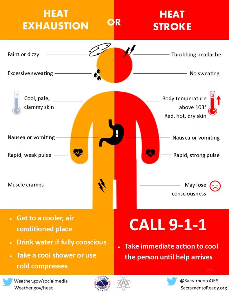 Heat Stroke Temperature Chart